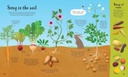 It All Starts with a Seed... | Usborne books in English for kids | The Kids' Nook Oman