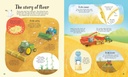 It All Starts with a Seed... | Usborne English books for kids | The Kids' Nook Oman