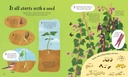 It All Starts with a Seed... | Usborne books | The Kids' Nook Oman