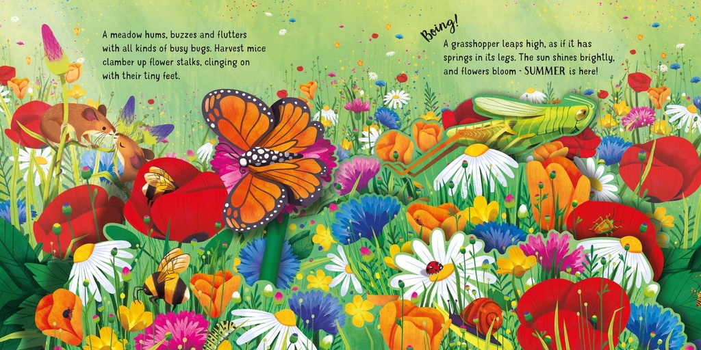 Pop-Up Seasons | Usborne books for children in English | The Kids' Nook Oman