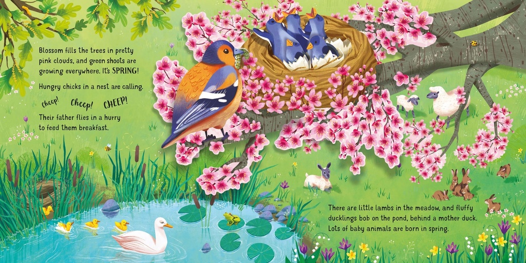 Pop-Up Seasons | Usborne English books for kids | The Kids' Nook Oman