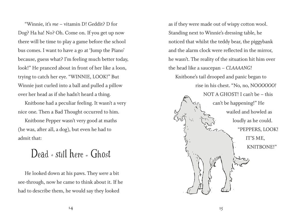 Best Friends Forever | Knitbone Pepper Ghost Dog | Usborne English books for children | The Kids' Nook Oman