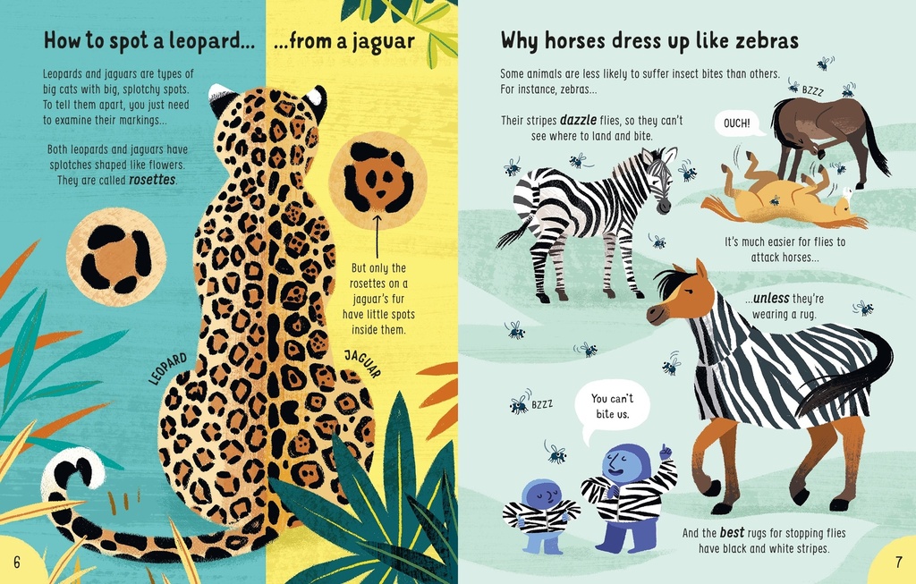 Lots of Things to Know About Animals | Usborne books for children | The Kids' Nook Oman