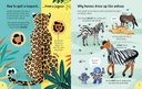 Lots of Things to Know About Animals | Usborne books for children | The Kids' Nook Oman