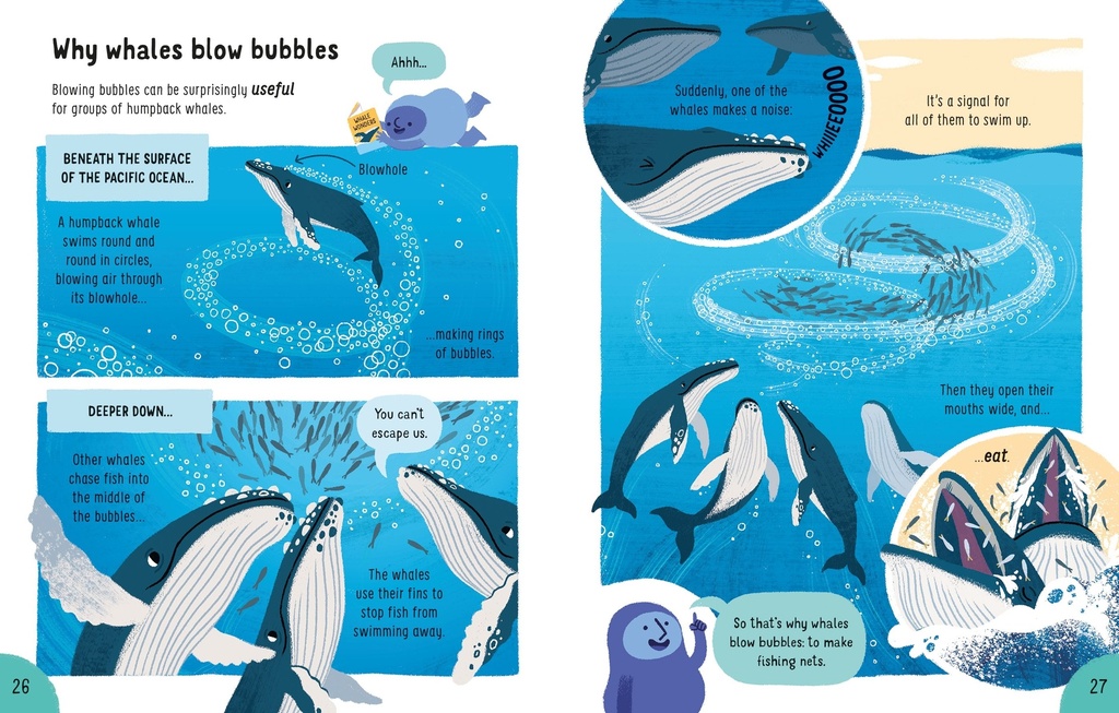 Lots of Things to Know About Animals | Usborne English books for children | The Kids' Nook Oman