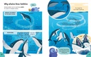 Lots of Things to Know About Animals | Usborne English books for children | The Kids' Nook Oman