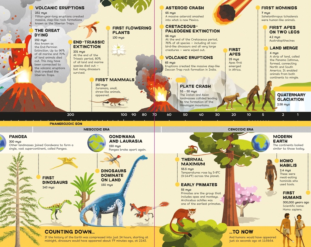 Fold-Out Timeline of Planet Earth | Usborne English books for children | The Kids' Nook Oman