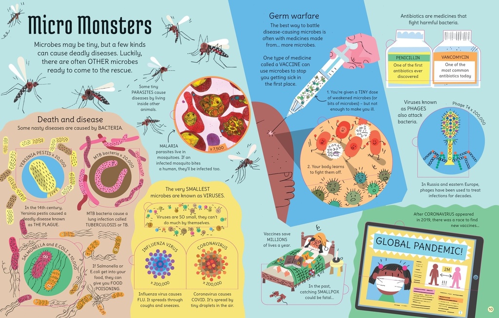 See Inside the Microscopic World | Usborne books in English for children | The Kids' Nook Oman