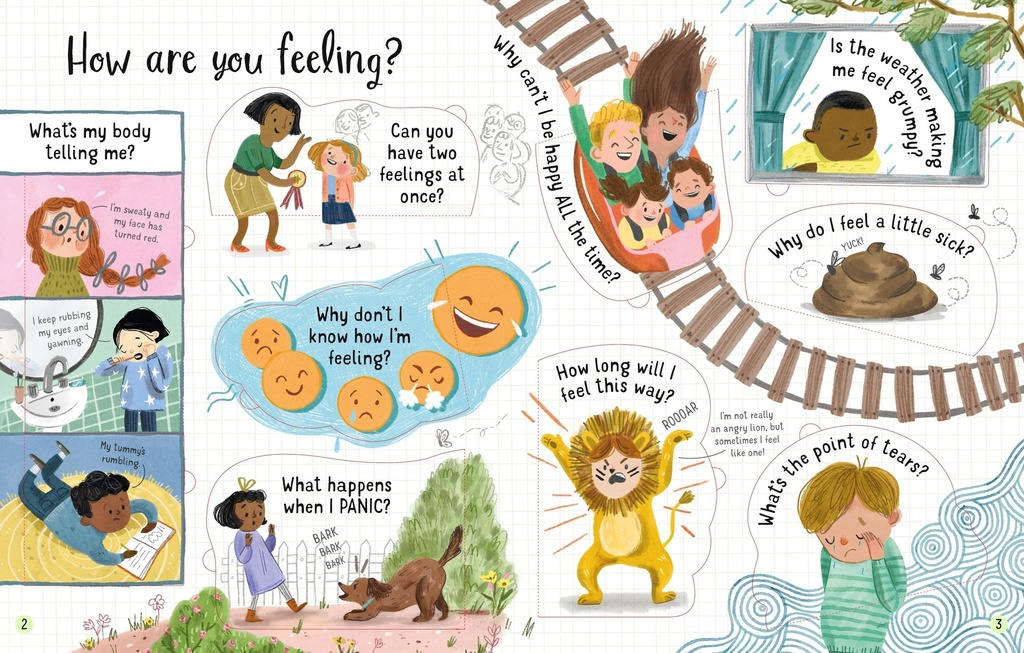 Lift-the-Flap Questions and Answers About Feelings | Usborne books in English for kids | The Kids' Nook Oman