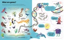 See ISee Inside Genes and DNA | Usborne books for kids in English | The Kids' Nook Oman