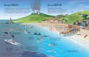 See Inside Oceans | Usborne books in English for kids | The Kids' Nook Oman