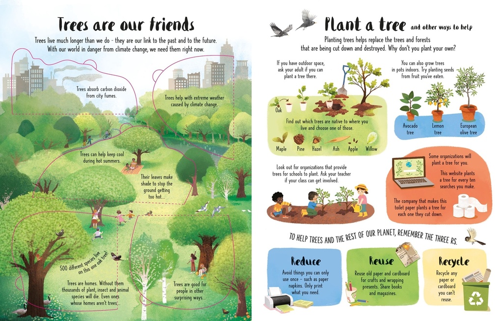 Lift-the-Flap Trees | Usborne books for kids | The Kids' Nook Oman