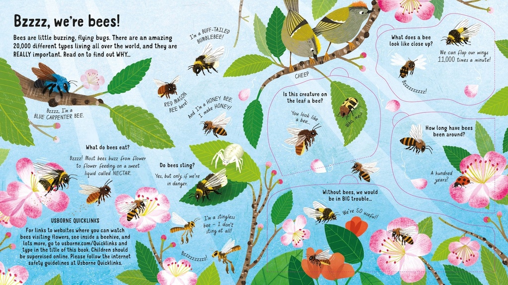 Look Inside the World of Bees