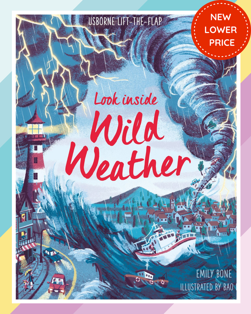 Look Inside Wild Weather | Usborne