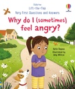 Very First Questions and Answers: Why do I (sometimes) feel angry