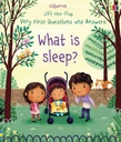 Very First Questions and Answers: What is Sleep?